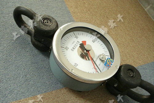 ������DƬ