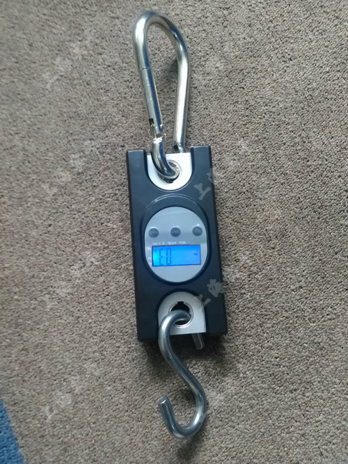 SGKС���̿ɷQ��?c��i)?sh��)�@�y(c��)��Ӌ(j��)